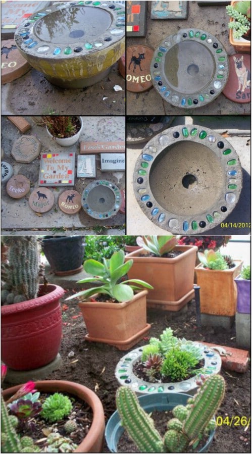 DIY Concrete Bowling Ball Planters