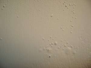 photo paint blisters on a wall