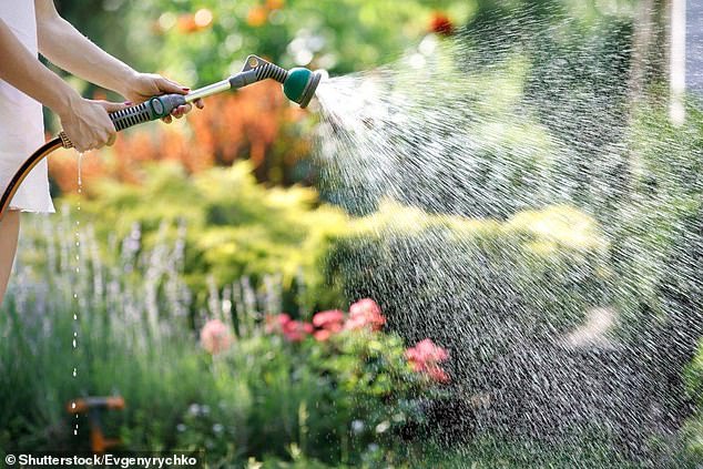 Water companies can insist on fitting a meter if the house is in a serious water stressed area
