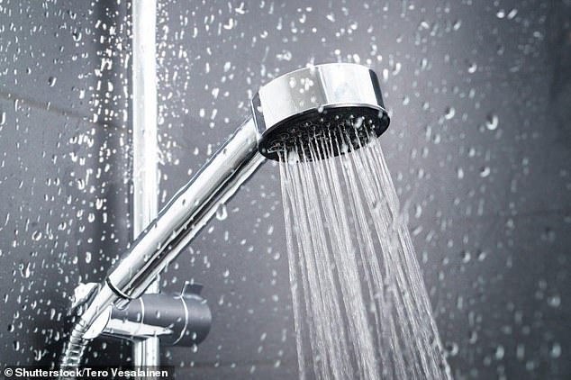Whilst not all water companies have meters as compulsory, some have said they are essential