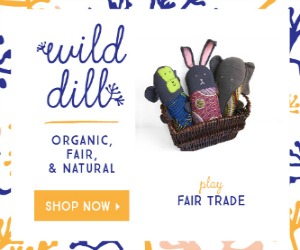 wild dill fair trade toys
