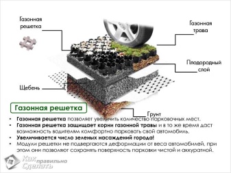 Газонные решетки: функции, разновидности и советы по выбору